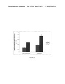 Synergetic functionalized spiral-in-tubular bone scaffolds diagram and image