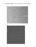 COATED SURFACE FOR CELL CULTURE diagram and image