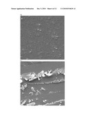 COATED SURFACE FOR CELL CULTURE diagram and image