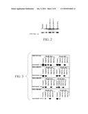 METHODS FOR INHIBITING TUMOR CELL PROLIFERATION diagram and image