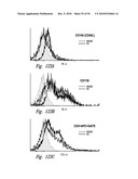 COMPOSITIONS AND METHODS FOR TREATING INSULIN RESISTANCE AND DIABETES MELLITUS diagram and image