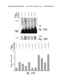 BACTERIOSTATIC OR BACTERIOCIDAL COMPOSITIONS AND METHODS diagram and image