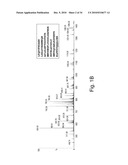 STABLE AMORPHOUS CALCIUM CARBONATE COMPRISING PHOSPHORYLATED AMINO ACIDS diagram and image