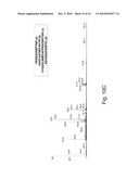 STABLE AMORPHOUS CALCIUM CARBONATE COMPRISING PHOSPHORYLATED AMINO ACIDS diagram and image