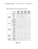 STABLE AMORPHOUS CALCIUM CARBONATE COMPRISING PHOSPHORYLATED AMINO ACIDS diagram and image