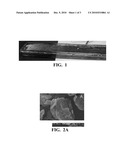 POLYMERS CONTAINING HEXAGONAL BORON NITRIDE PARTICLES COATED WITH TURBOSTRATIC CARBON AND PROCESS FOR PREPARING SAME diagram and image