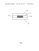 FUEL CELL IN WHICH PROTON CONDUCTIVE GEL IS USED AND MANUFACTURING METHOD THEREOF, AND ELECTRIC POWER GENERATION METHOD diagram and image