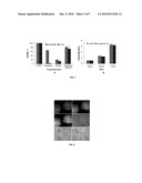 Methods for Augmentation of Cell Cryopreservation diagram and image