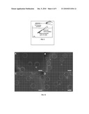 Methods for Augmentation of Cell Cryopreservation diagram and image