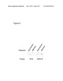 METHOD FOR HYBRIDIZING NUCLEIC ACIDS diagram and image