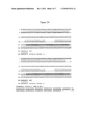 Compositions and Methods for Detecting Juvenile Renal Dysplasia or Calcium Oxalate Stones in Dogs diagram and image