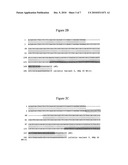 Compositions and Methods for Detecting Juvenile Renal Dysplasia or Calcium Oxalate Stones in Dogs diagram and image