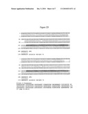 Compositions and Methods for Detecting Juvenile Renal Dysplasia or Calcium Oxalate Stones in Dogs diagram and image