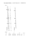 VECTOR FOR EXPRESSING ANTIBODY FRAGMENTS AND A METHOD FOR PRODUCING RECOMBINANT PHAGE THAT DISPLAYS ANTIBODY FRAGMENTS BY USING THE VECTOR diagram and image