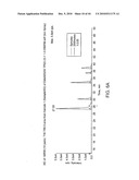 MASS TAGS FOR QUANTITATIVE ANALYSES diagram and image