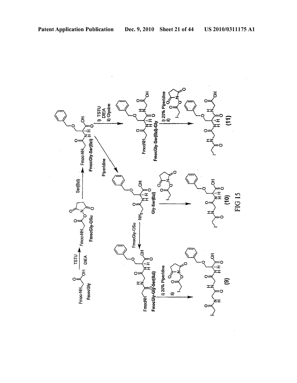 MASS TAGS FOR QUANTITATIVE ANALYSES - diagram, schematic, and image 22