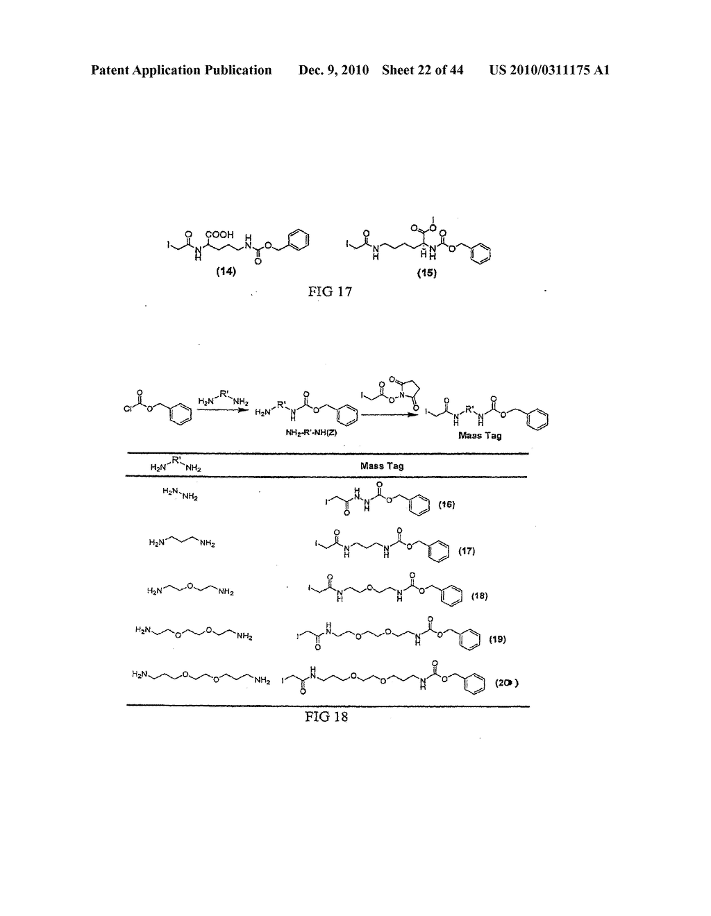 MASS TAGS FOR QUANTITATIVE ANALYSES - diagram, schematic, and image 23