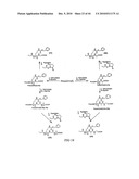 MASS TAGS FOR QUANTITATIVE ANALYSES diagram and image