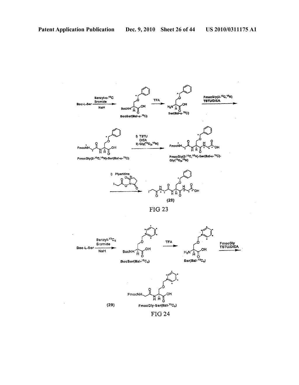 MASS TAGS FOR QUANTITATIVE ANALYSES - diagram, schematic, and image 27