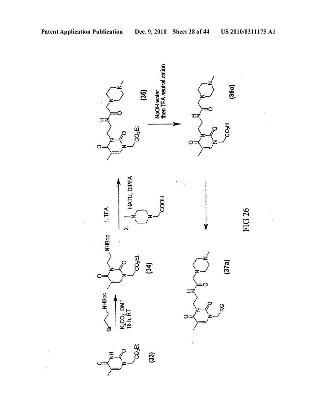 MASS TAGS FOR QUANTITATIVE ANALYSES - diagram, schematic, and image 29