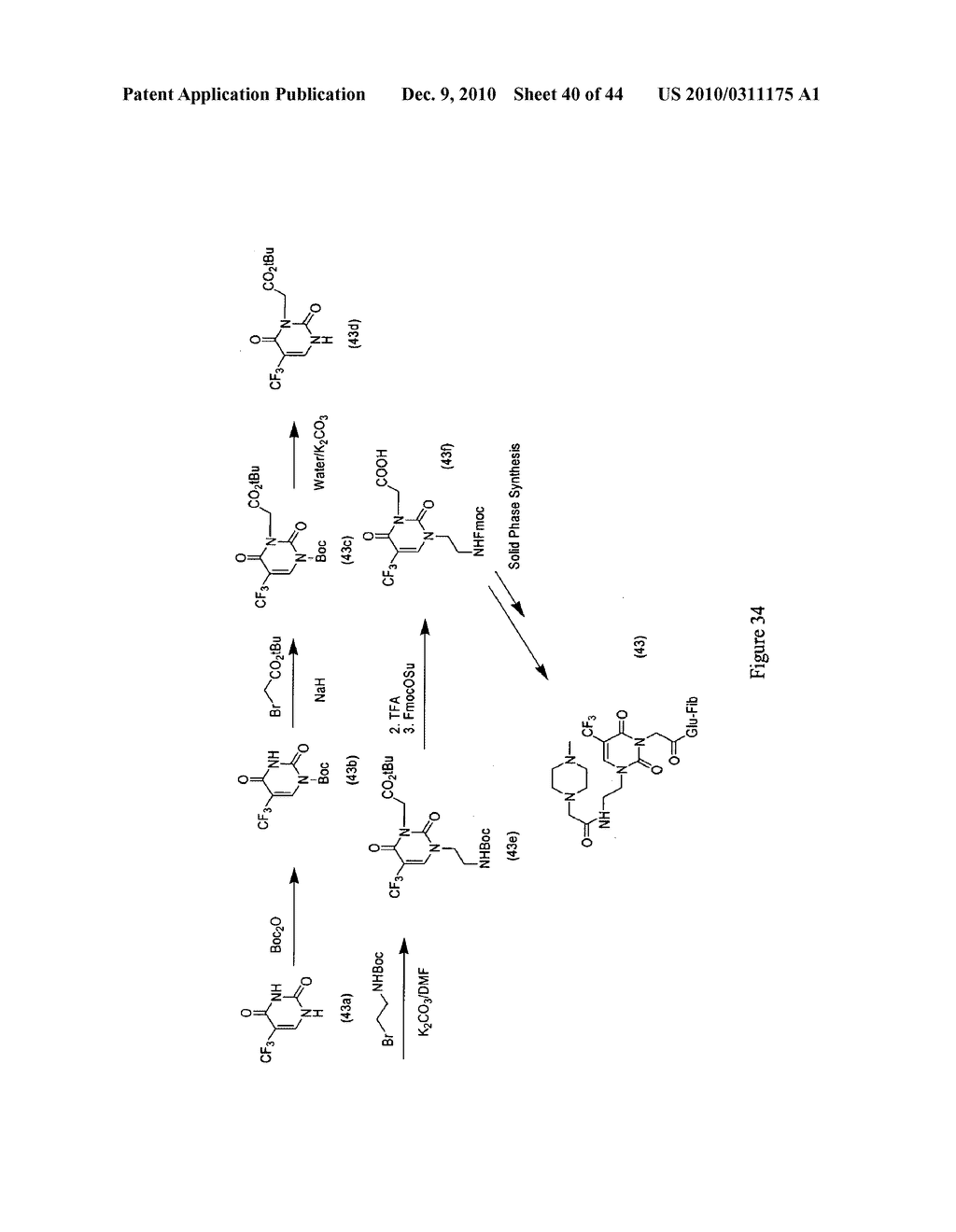 MASS TAGS FOR QUANTITATIVE ANALYSES - diagram, schematic, and image 41