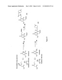 MASS TAGS FOR QUANTITATIVE ANALYSES diagram and image