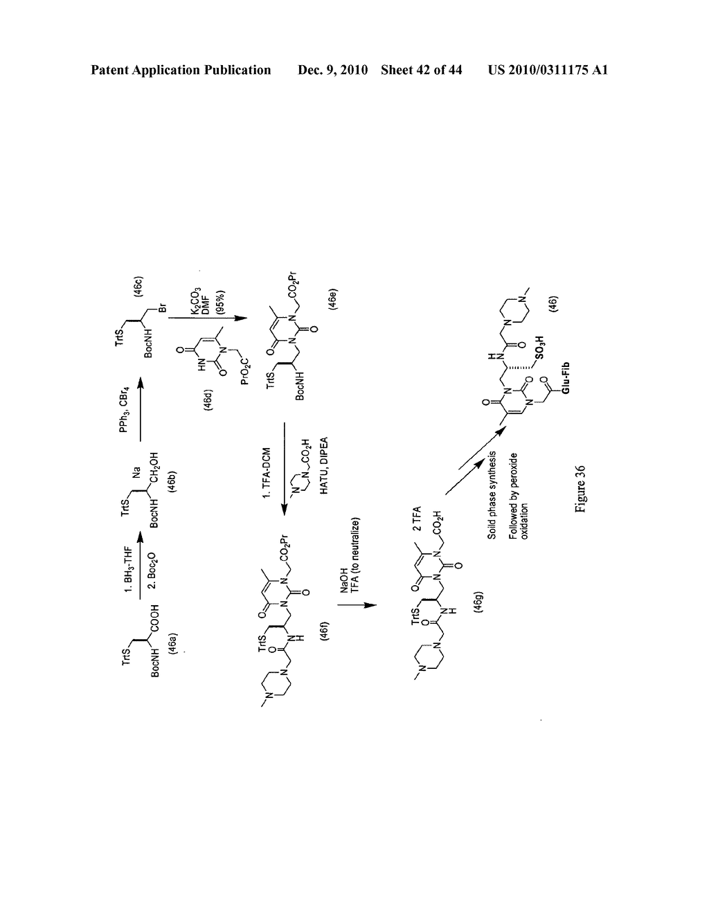 MASS TAGS FOR QUANTITATIVE ANALYSES - diagram, schematic, and image 43