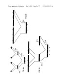 SYSTEM AND METHOD FOR EDITING AND MANIPULATING DNA diagram and image