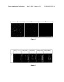 ANTIMICROBIAL SURFACES diagram and image