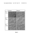 ANTIMICROBIAL SURFACES diagram and image