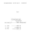 Viral Promoter, Truncations Thereof, and Methods of Use diagram and image