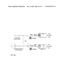 Mesoporous and Nanoporous Materials, and Methods of Synthesizing the Same diagram and image