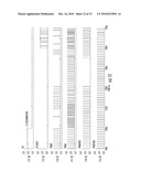 WAY OUT OF BALANCE (WOB) CURRENT CORRECTION FOR USE WITH A MULTI-PHASE DC-DC CONVERTER diagram and image