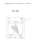 MOBILE TERMINAL AND DISPLAY CONTROLLING METHOD THEREOF diagram and image