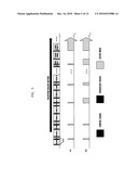 WIRELESS BROADCAST COMMUNICATION SYSTEM AND BROADCAST SERVICE METHOD THEREOF diagram and image