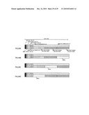 RADIO COMMUNICATION METHOD AND RADIO COMMUNICATION DEVICE diagram and image