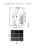 PATTERNED LIGHT EMITTING DEVICES diagram and image