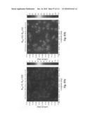 System and method for DIDO precoding interpolation in multicarrier systems diagram and image