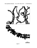 METHOD FOR THE MANUFACTURE OF NANOPARTICLES ON A CARBON SURFACE AND PRODUCTS THEREFROM diagram and image