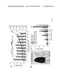 MODULATING BODY WEIGHT diagram and image