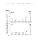 Use of FZC18-Containing Collagen 18 Polypeptides for the Treatment, Diagnosis and Outcome Prediction of Diseases diagram and image