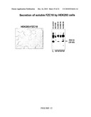 Use of FZC18-Containing Collagen 18 Polypeptides for the Treatment, Diagnosis and Outcome Prediction of Diseases diagram and image