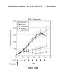 BIOMARKERS FOR IGF-1R INHIBITOR THERAPY diagram and image