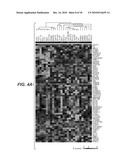 BIOMARKERS FOR IGF-1R INHIBITOR THERAPY diagram and image