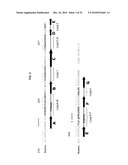 ENGINEERED ANTIBODY CONSTANT DOMAIN MOLECULES diagram and image