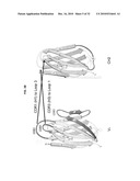 ENGINEERED ANTIBODY CONSTANT DOMAIN MOLECULES diagram and image