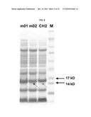 ENGINEERED ANTIBODY CONSTANT DOMAIN MOLECULES diagram and image