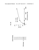 ENGINEERED ANTIBODY CONSTANT DOMAIN MOLECULES diagram and image