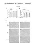 COMPLEXES OF GRP94 WITH HUMAN IMMUNOGLOBULIN G diagram and image