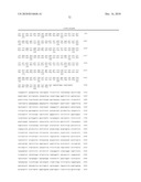 COMPOSITIONS AND METHODS FOR MODULATING IMMUNE RESPONSES diagram and image